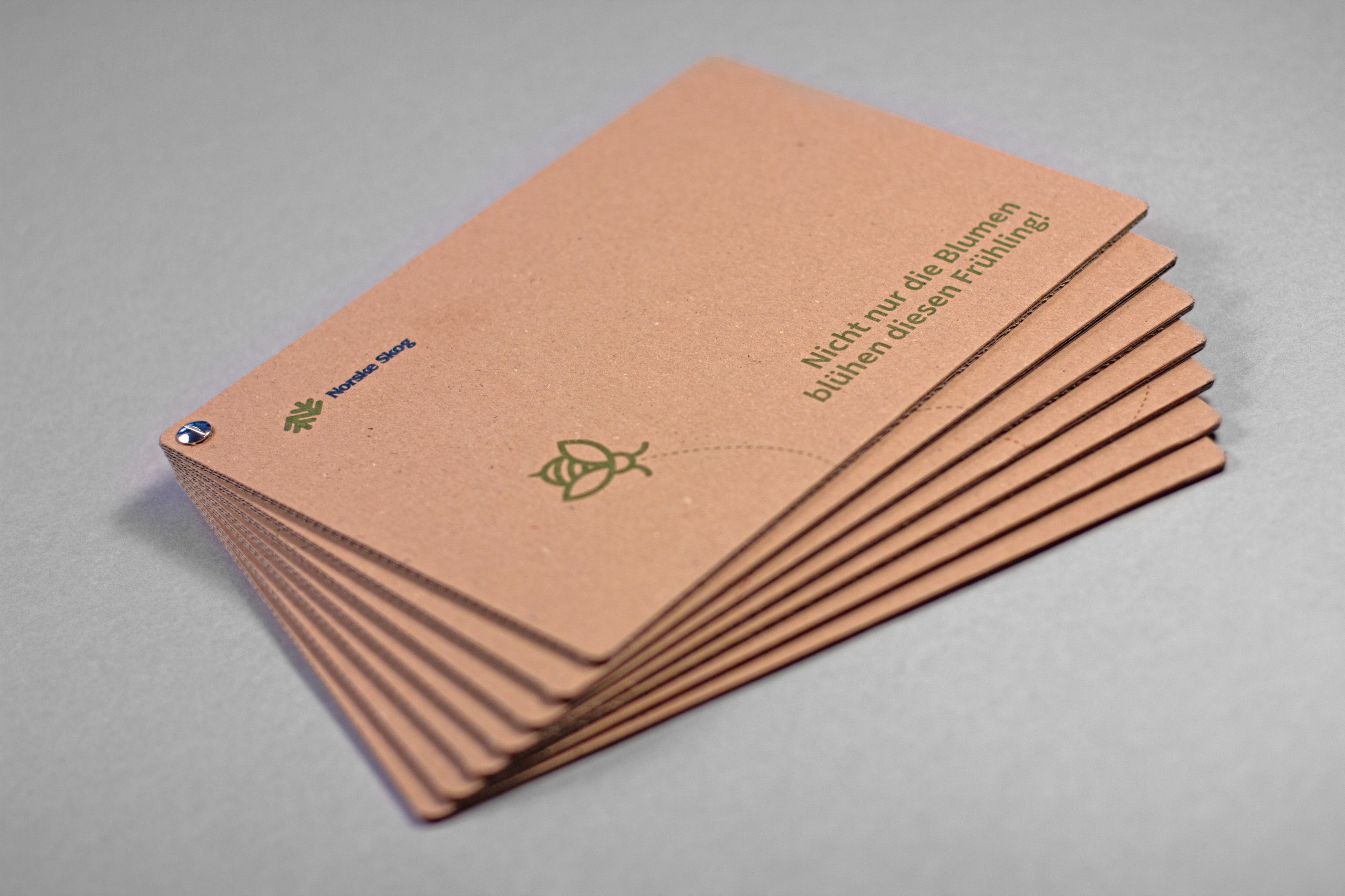 Norkse Skog Launch-Mailing